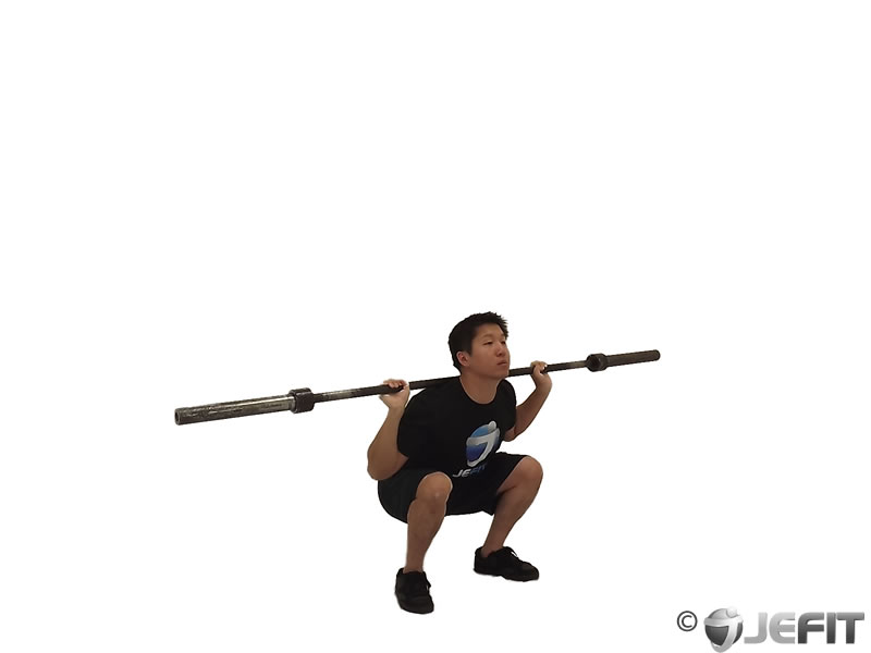 Barbell Olympic Squat - Exercise Database 