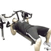Leverage Chest Press Demonstration