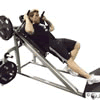 Single-Leg Hack Squat Demonstration