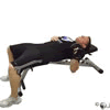 Dumbbell One-Arm Bench Press Demonstration
