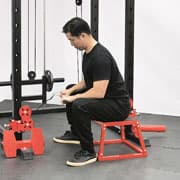 Cable Wrist Curl (Reverse Grip) Demonstration
