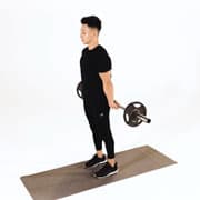 Barbell Wrist Curl (Posterior) Demonstration
