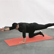 Bird Dog Elbow to Knee Demonstration
