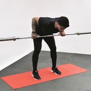Barbell Rear Delt Row Demonstration