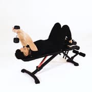 Dumbbell Tricep Extension (Supine) Demonstration
