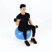 Dumbbell One-Arm Bicep Curl on Stability Ball  Demonstration