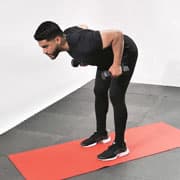 Dumbbell Bent-Over Row (Palms in) Demonstration