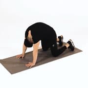 Cat Stretch Demonstration
