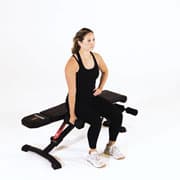 Dumbbell Seated Side Bend Demonstration