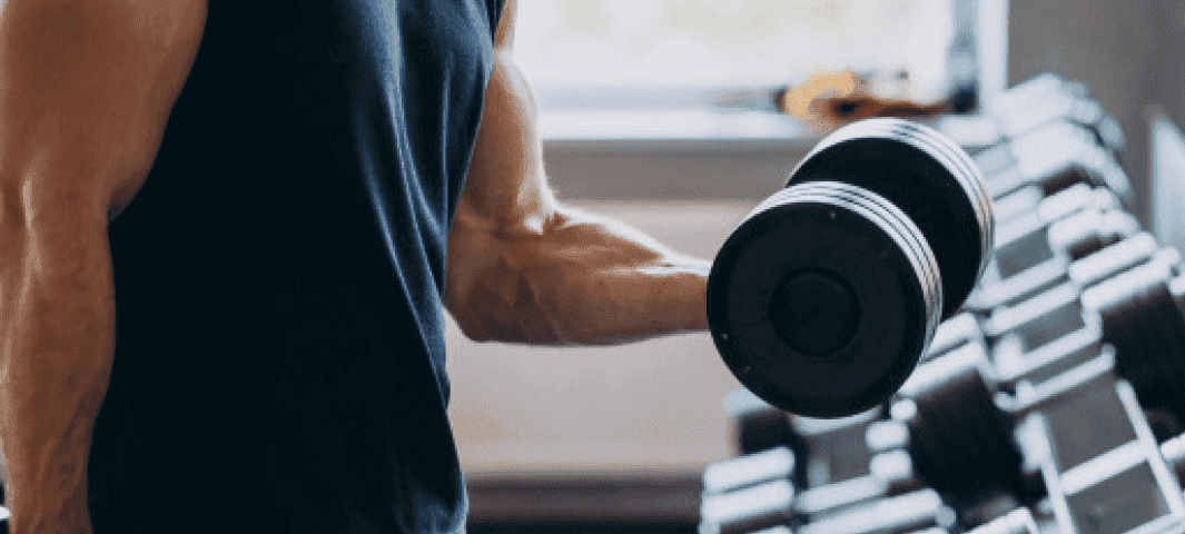 3 Day Split Program: Dumbbell banner