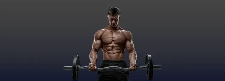 Elite - Workout Muscles Into Growth banner