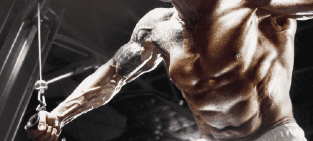 Metabolic Fat Loss Plan  banner