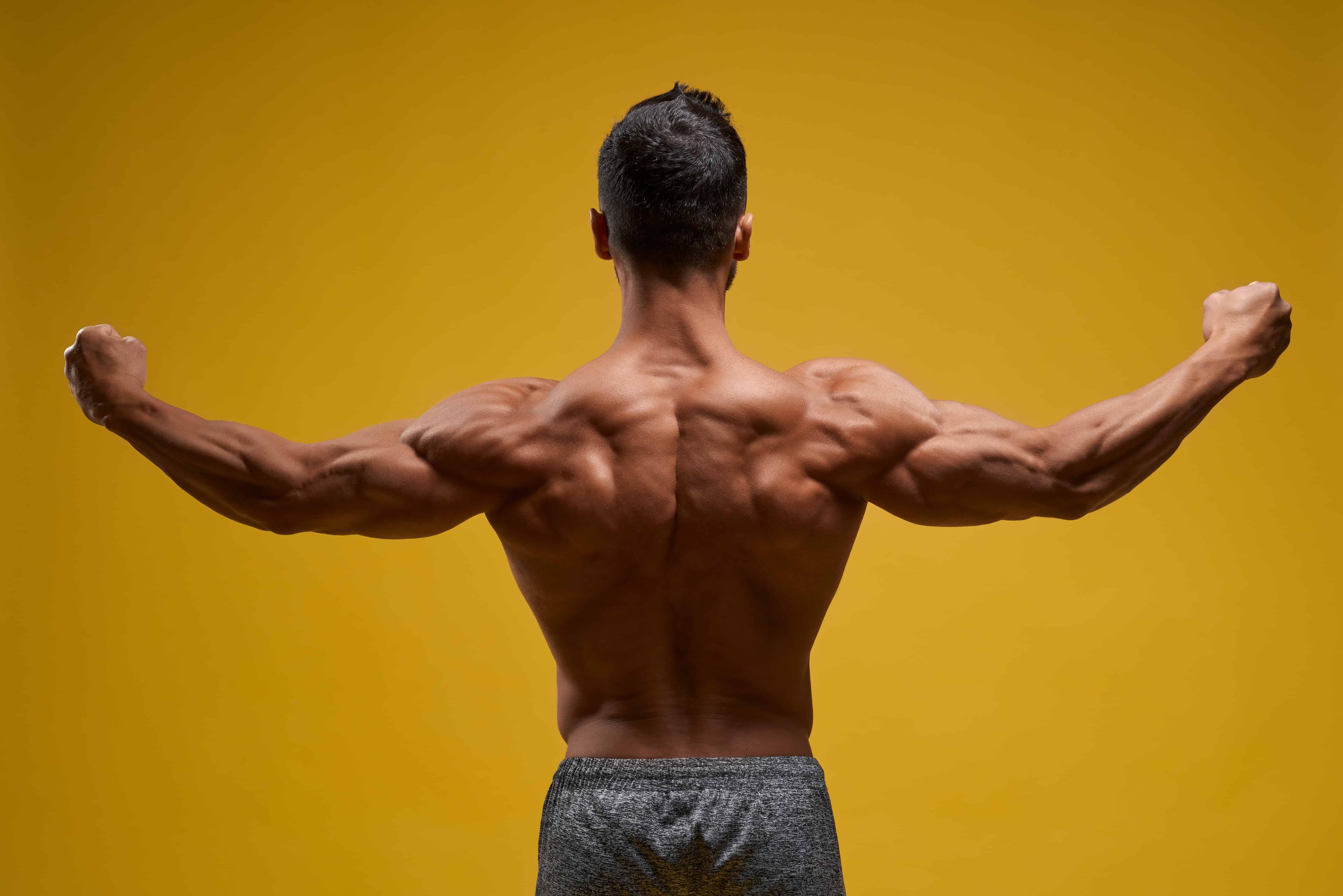 Strong Back: How to Perform an Inverted Row Correctly
