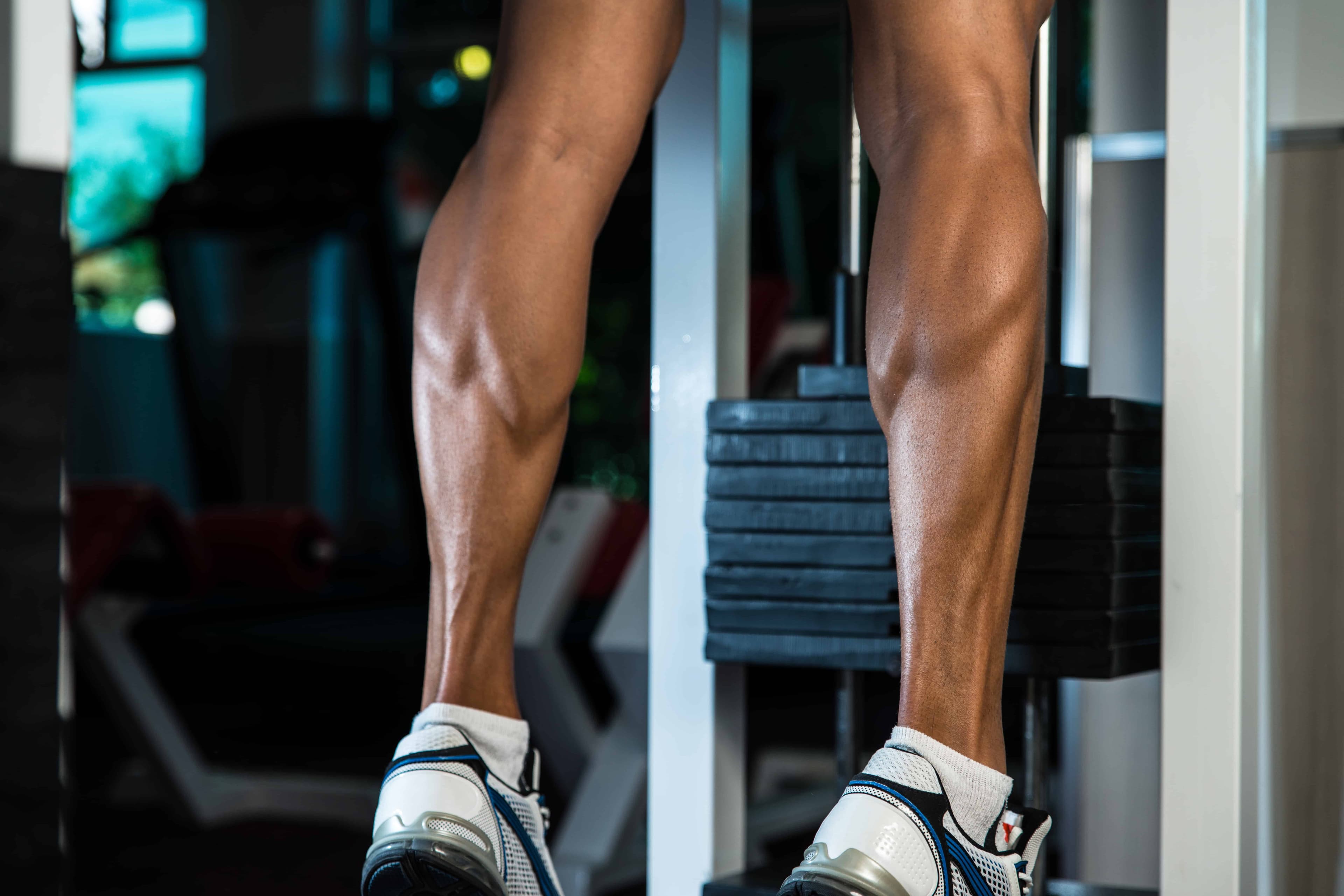 Lower Leg Review: Adding Muscle Size and Strength