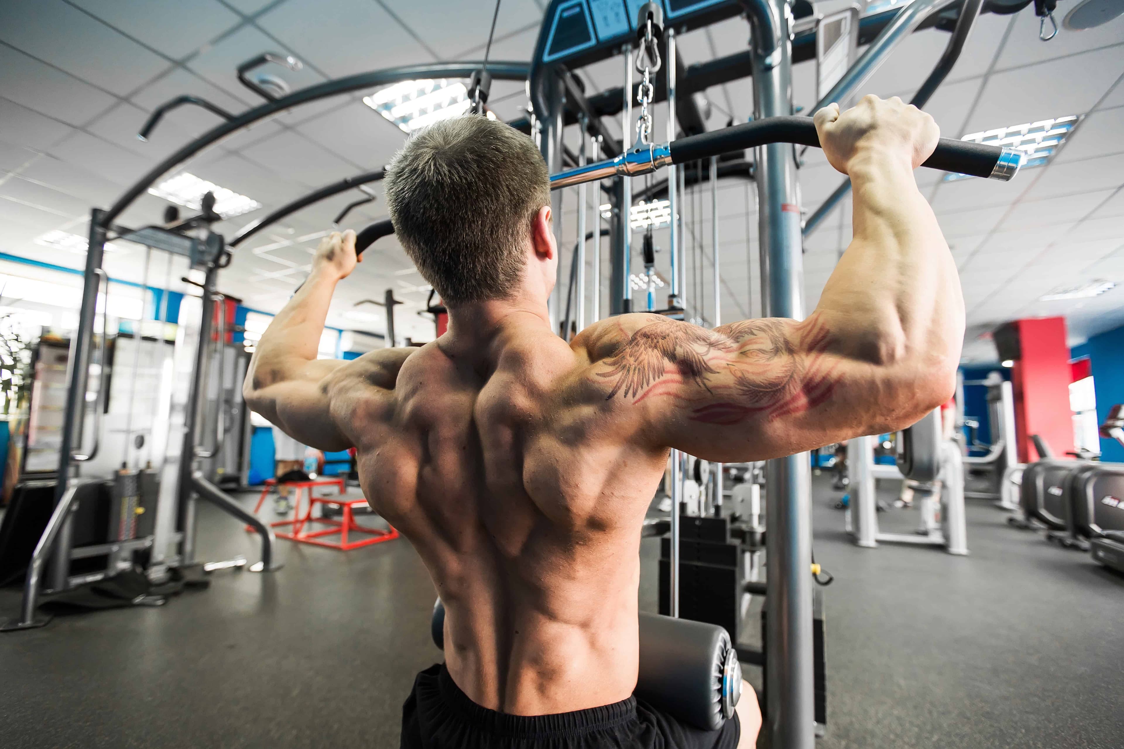 Building a Strong Back: Importance of Vertical & Horizontal Pulling