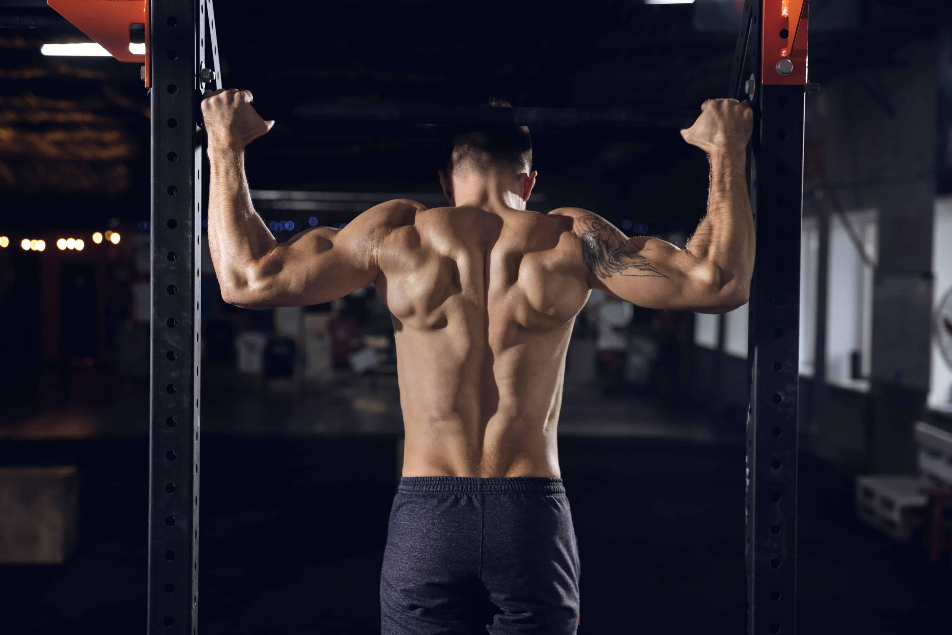 Muscle Growth Requires These Three Things