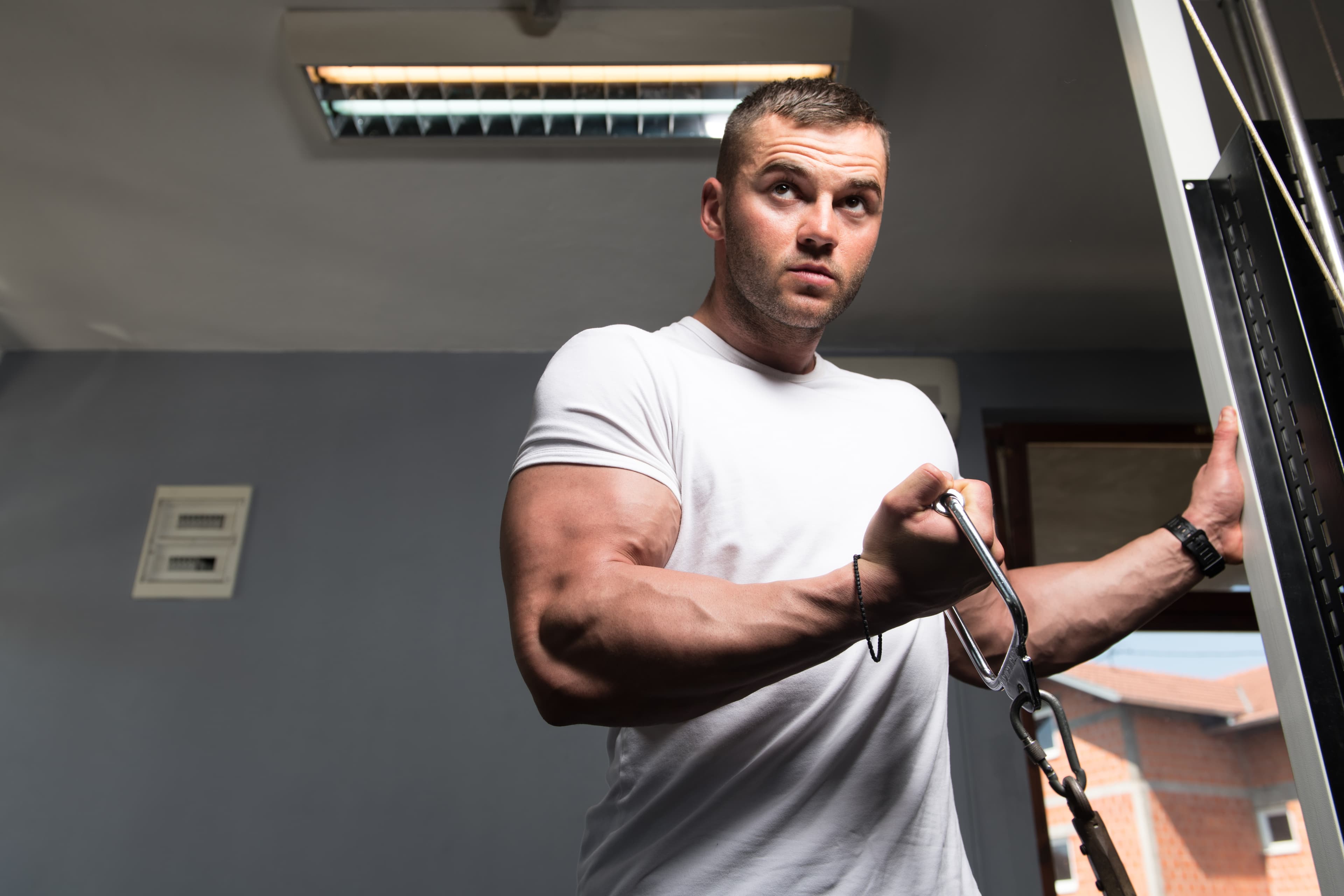 Science of Rest Between Sets: How Much Recovery Do You Need?