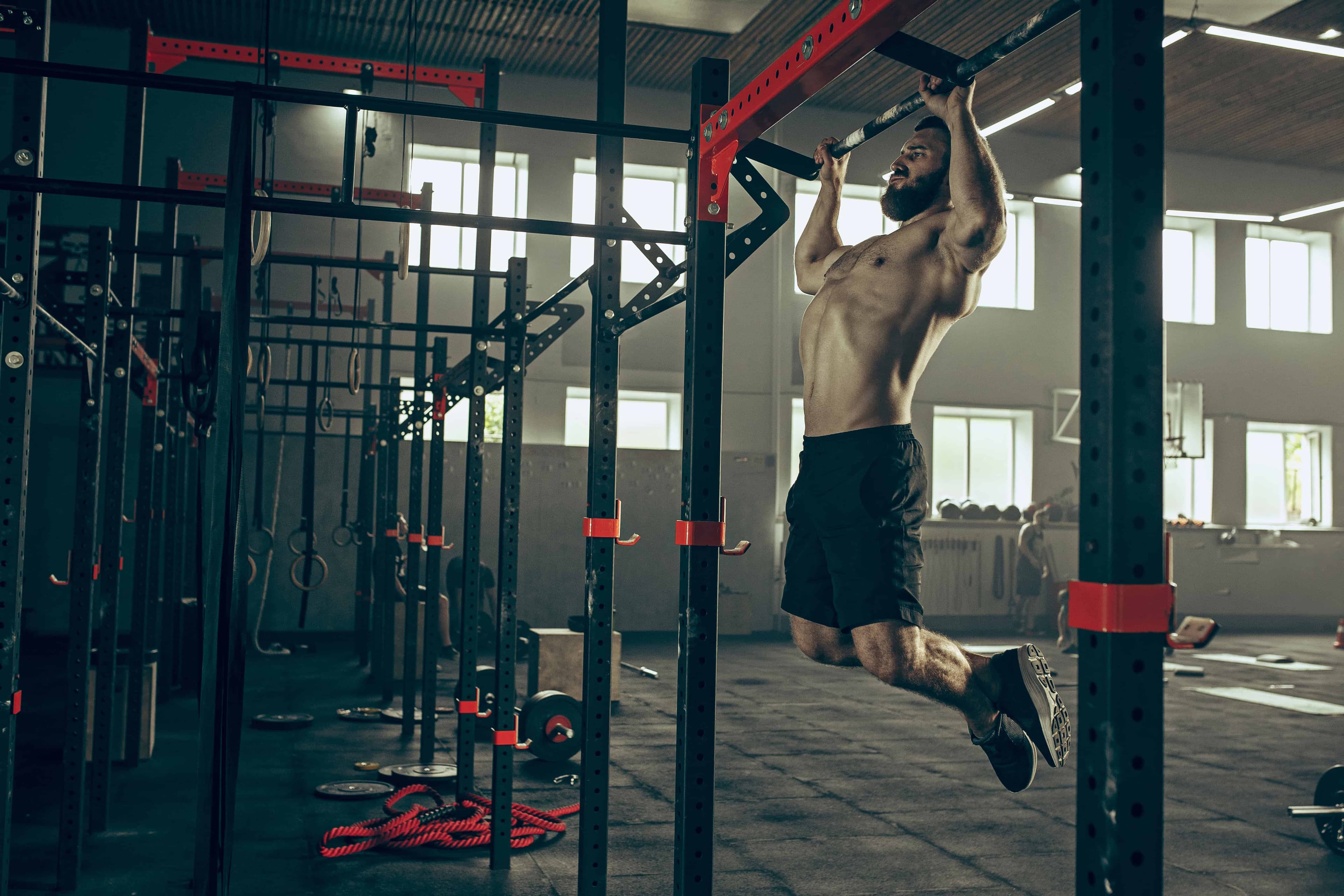 Jefit List of Most Popular Back Exercises