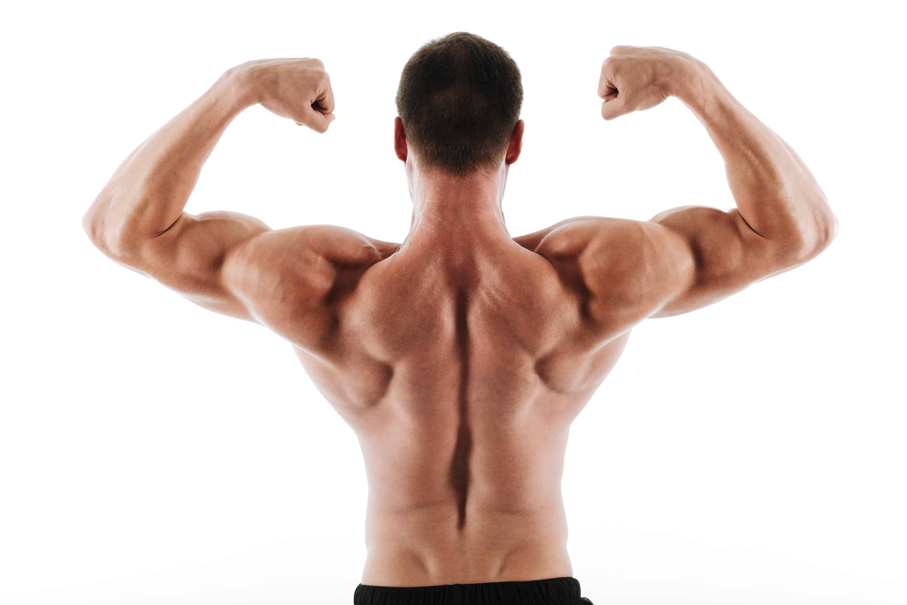 Build a Strong, Powerful Back with These Top Jefit Exercises