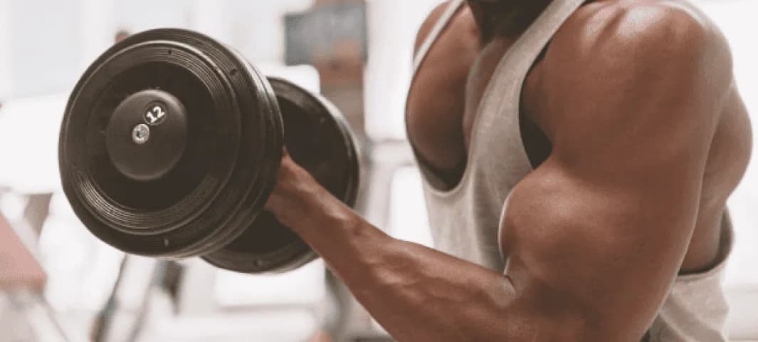 Mixed Upper, Consistent Legs banner