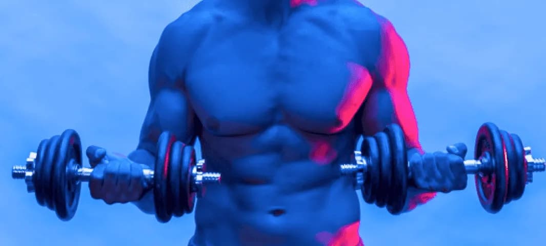 Copy of 4-Day Split Program: Dumbbell Only banner