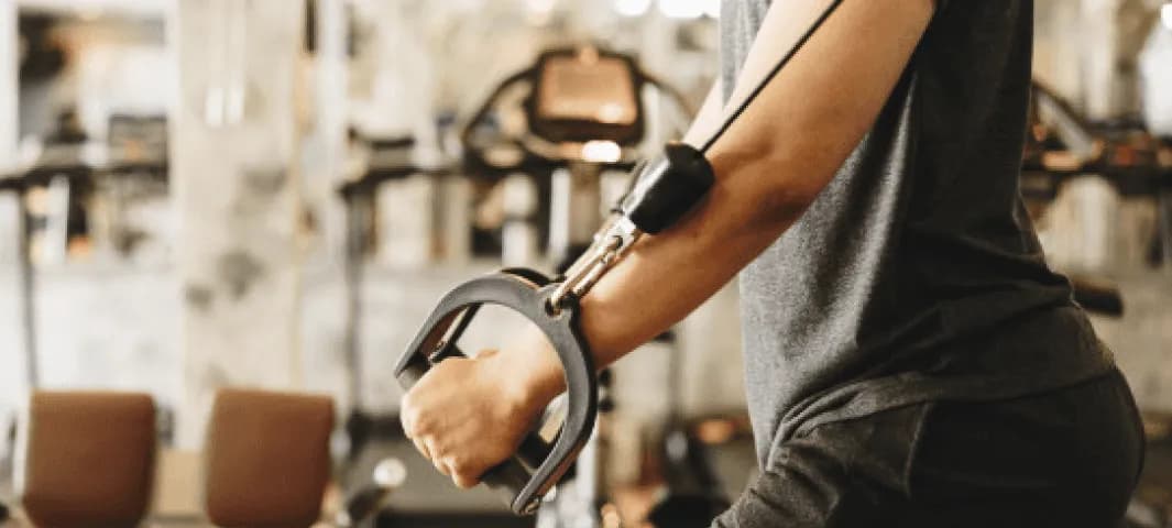 5 Day Muscle Building Split* banner