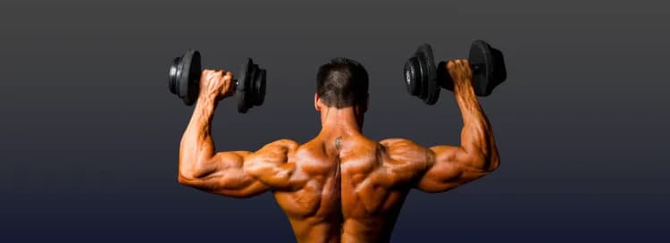 Back and Biceps banner