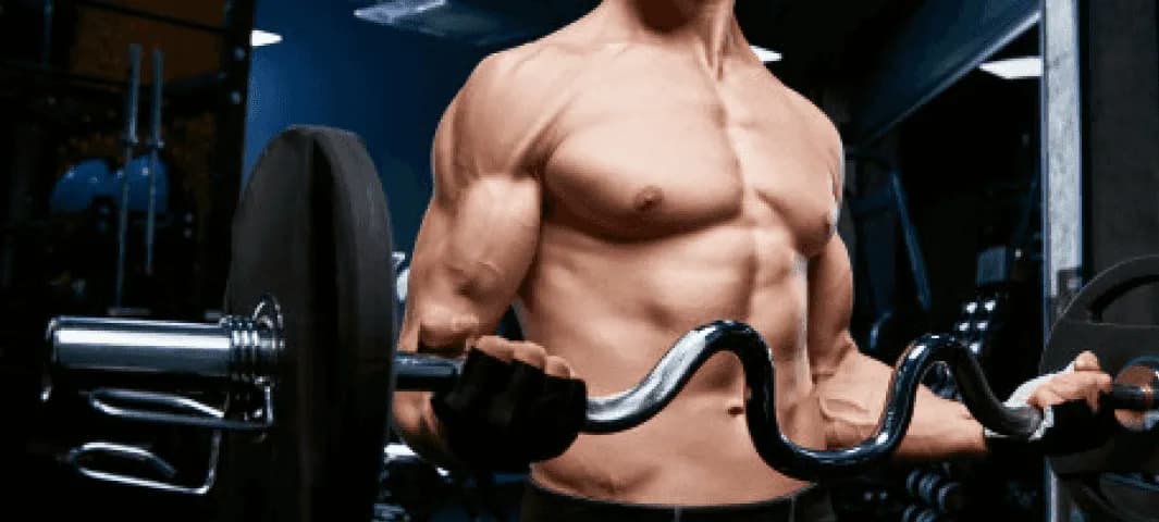 PPL Workout banner
