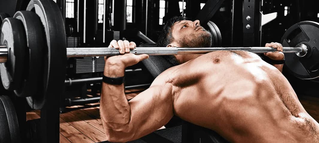 Muscle Building Transition Program banner