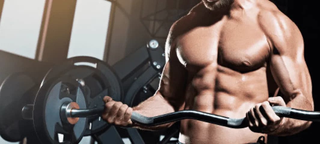 Elite - Spark Your Testosterone* banner