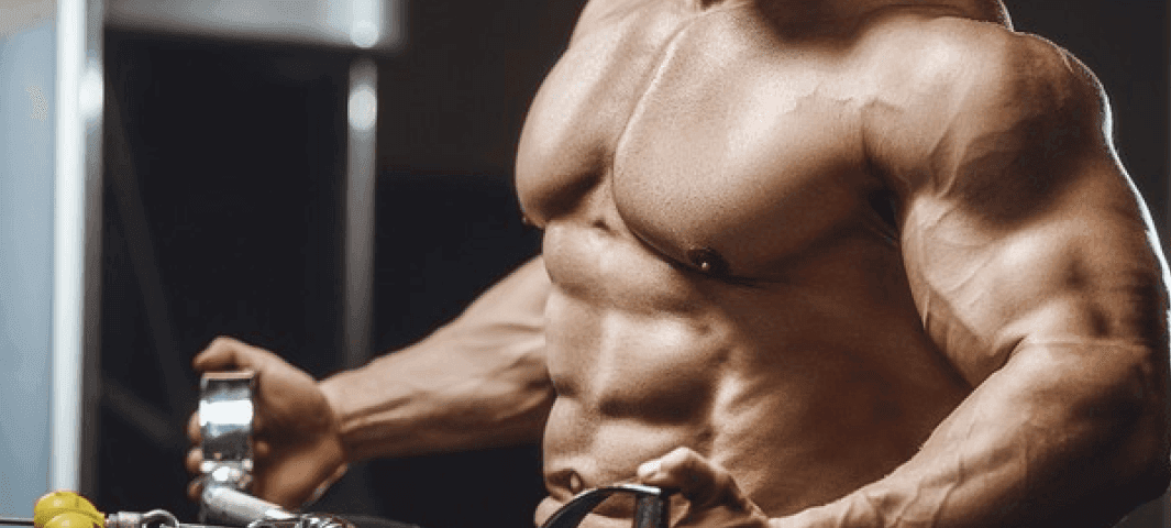 Maximum Muscle  banner