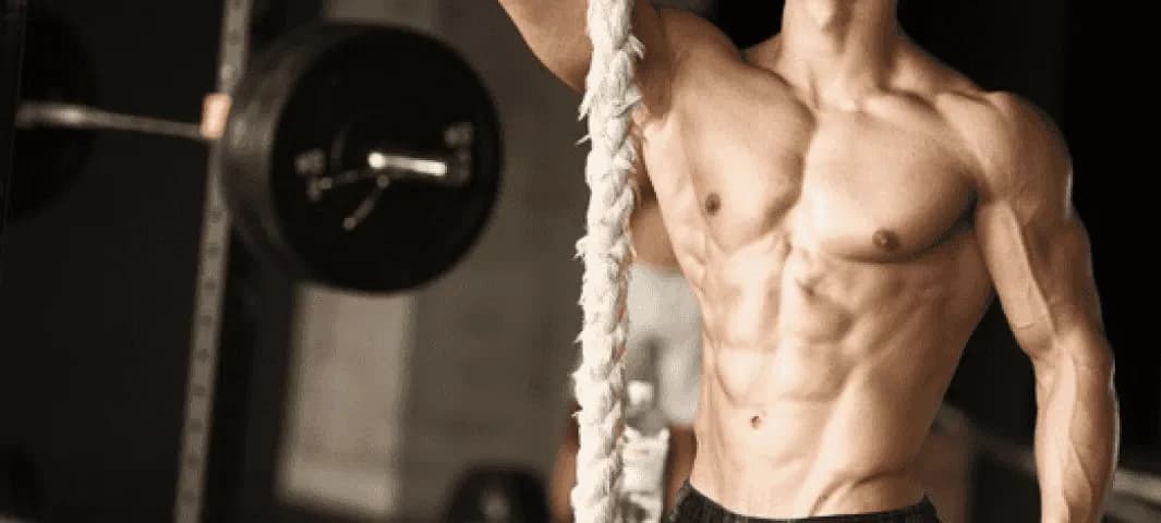 Get Ripped banner