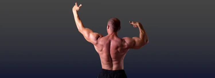 Elite Wizard - Building Solid Muscle banner
