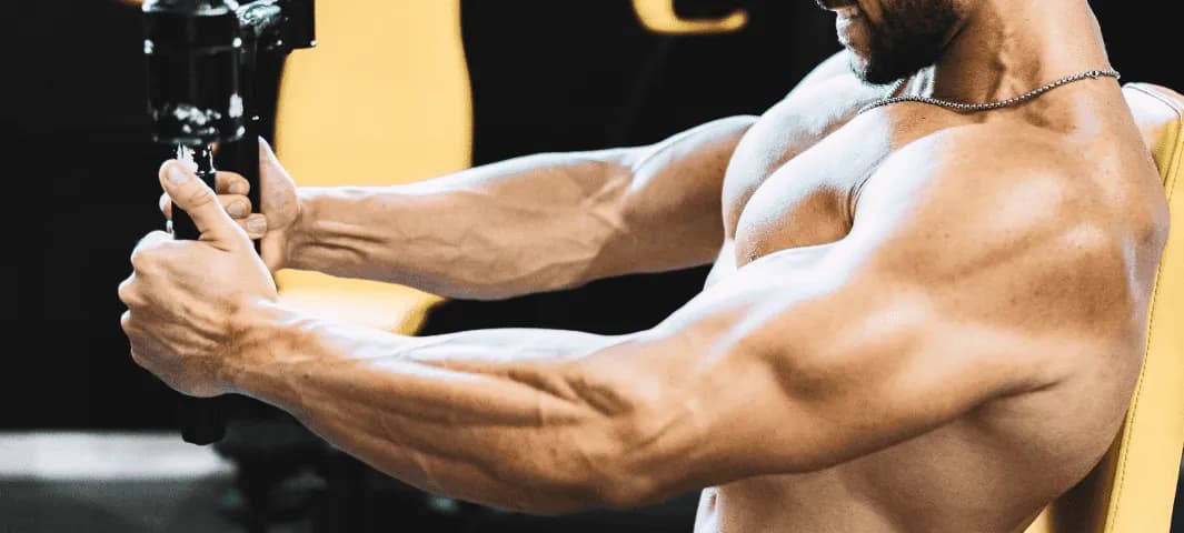 Build Muscle Strength  banner