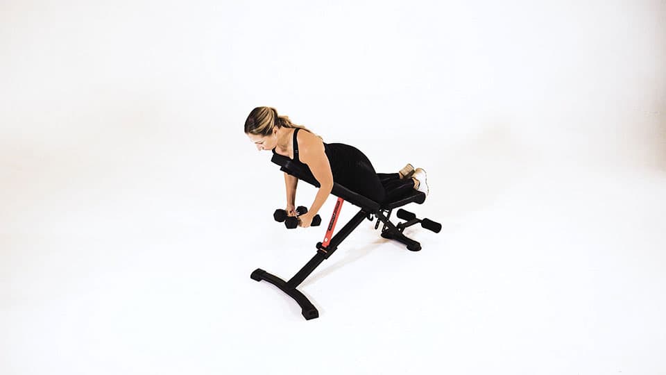 Dumbbell Reverse Fly Demonstration