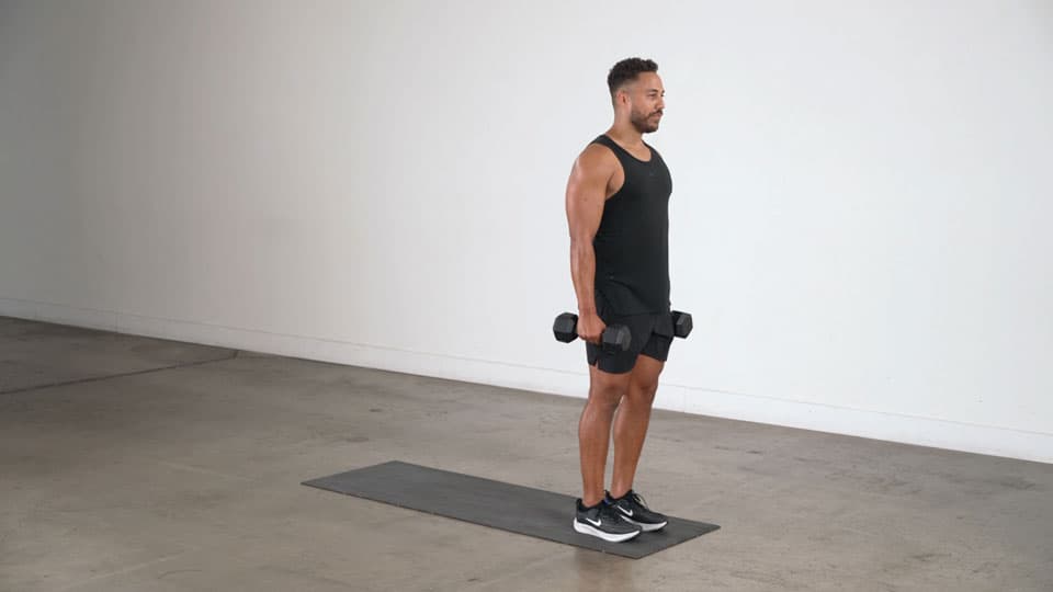 Dumbbell Reverse Lunge Demonstration