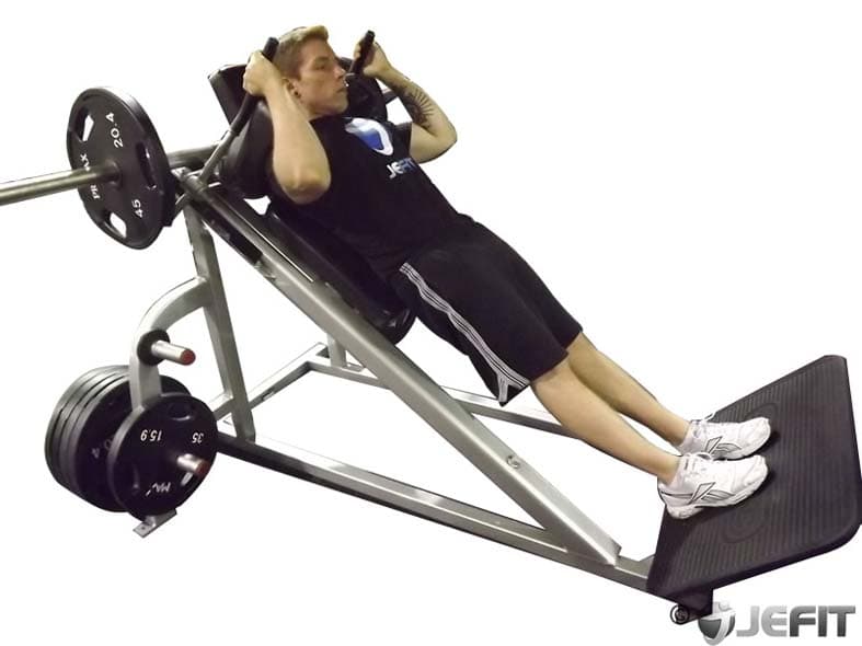 Hack Squat (Narrow Stance) Demonstration