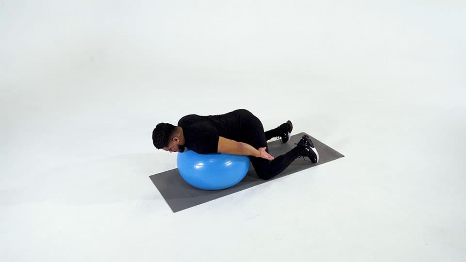 Stability Ball Back Extension with Rotation Demonstration