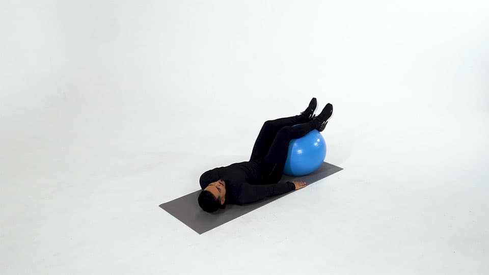 Stability Ball Hundreds Demonstration