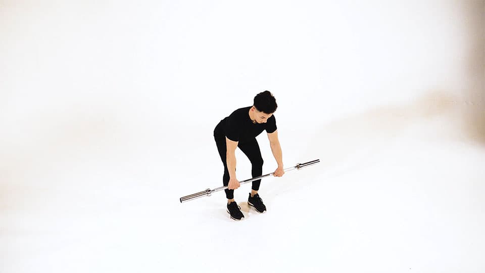 Barbell Row Demonstration