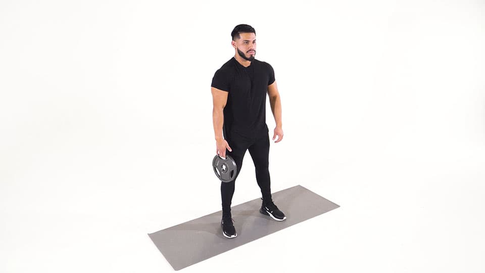 Weight Plate Hand Squeeze Demonstration