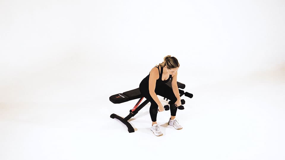 Dumbbell Seated Wrist Curl (Palms Down) Demonstration