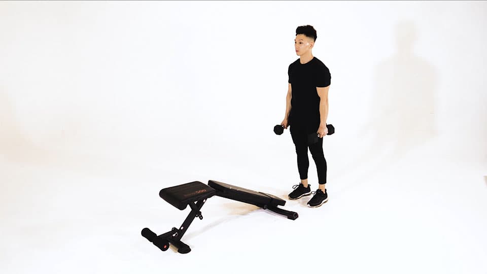 Dumbbell Decline Bench Lunge Demonstration