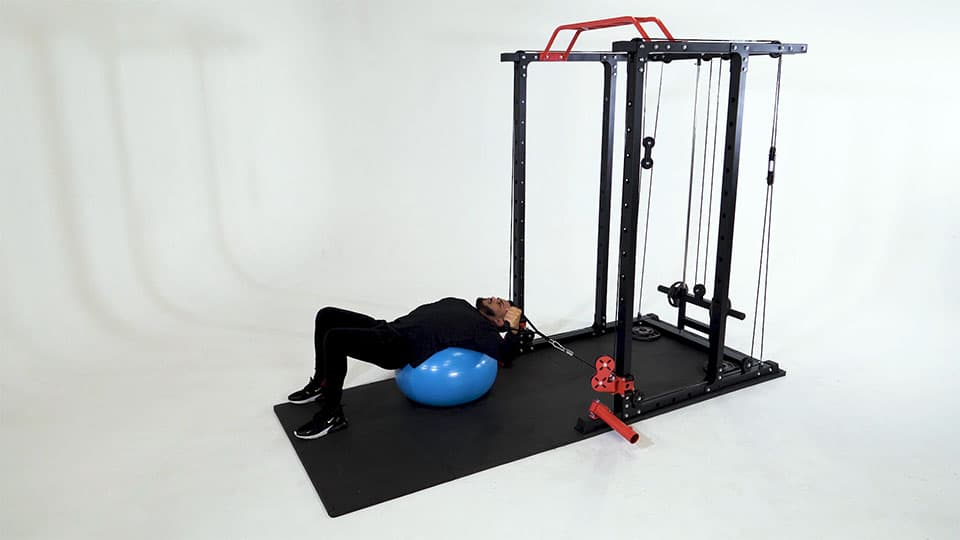 Cable One-Arm Fly (Stability Ball) Demonstration