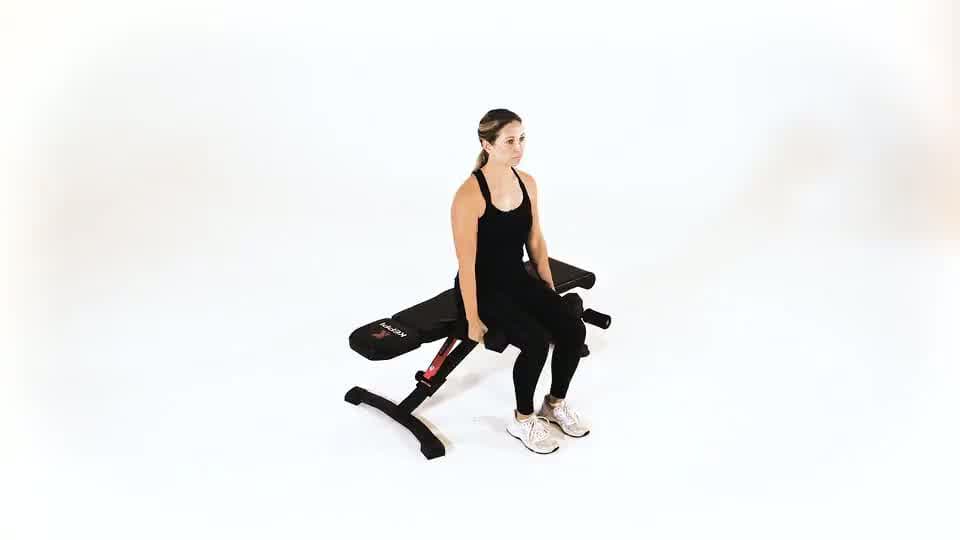 Dumbbell Seated Front Raise (Hammer) Demonstration