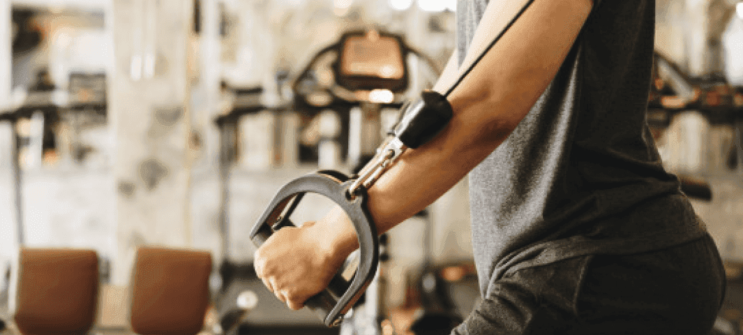 5 Day Muscle Building Split banner