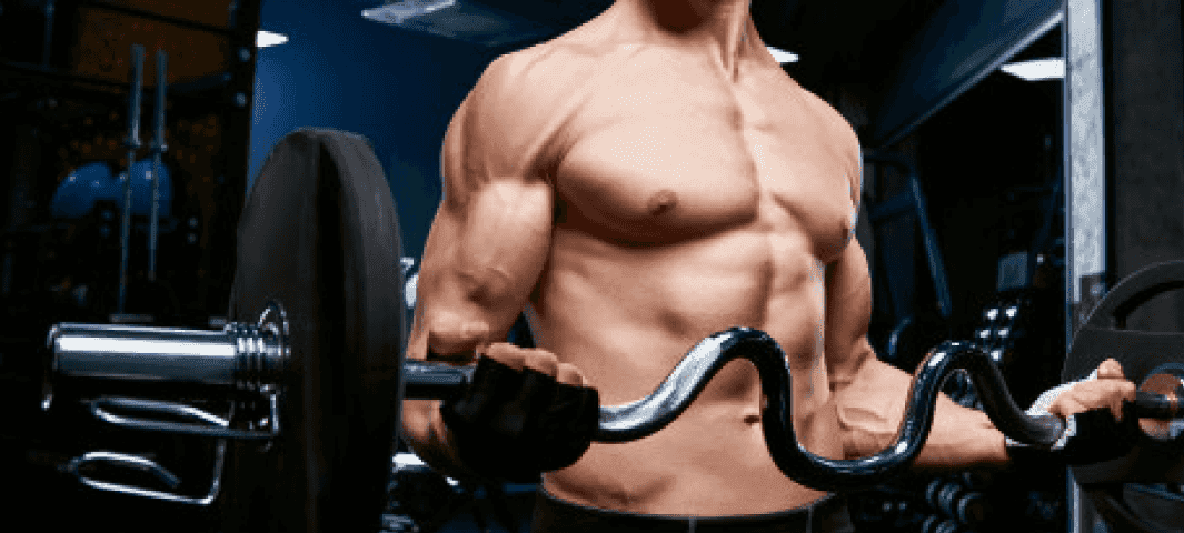 6 Day Bulking Split banner