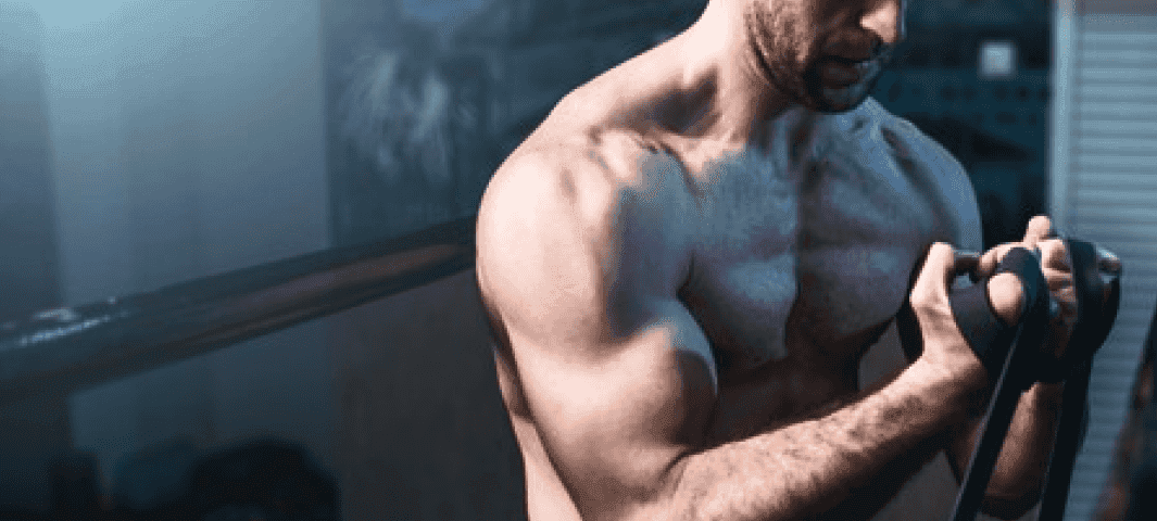 Training For Muscle Definition* banner