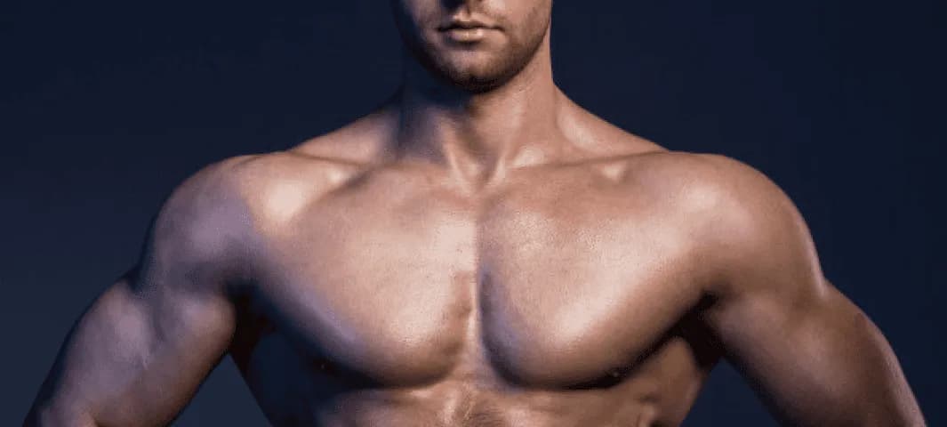 Elite - 4 Months To Dense Muscle banner