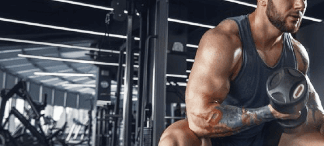 Body Transformation (Phase 3)* banner